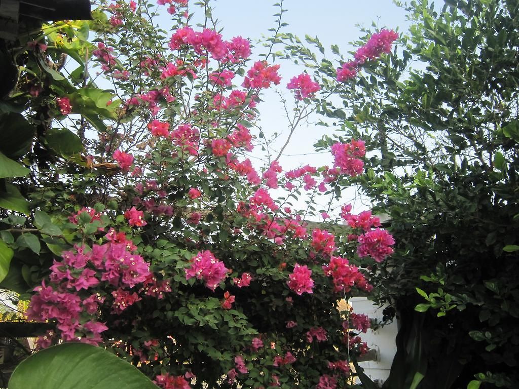 Valmar Cartagena